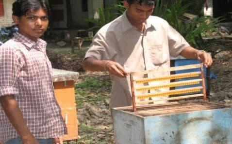 Practical hive-frame demonstration for trainees and farmers.