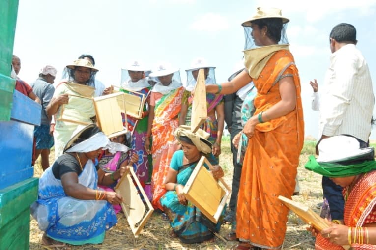 Scientific beekeeping foundation
