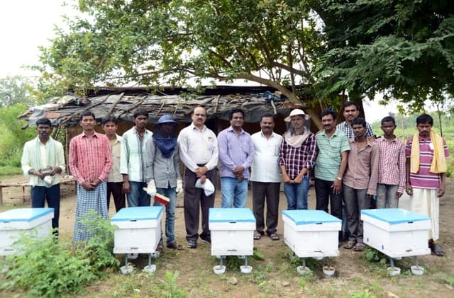Beehive and beekeeper interaction captured during training practice.
