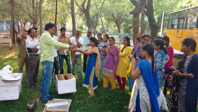 Beekeeping training visual showing close supervision and learner participation.