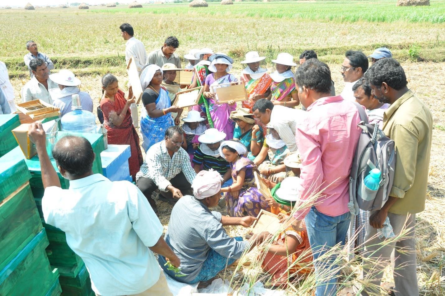 Pesticide Exposure Near Farms: Use a Spray-Window Agreement Before Colonies Arrive