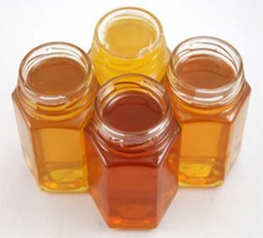 When Honey Prices Fall Below Cost, Beekeepers Need a Local Recovery Plan